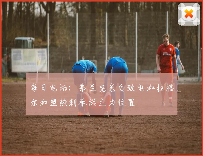 每日电讯：弗兰克亲自致电加拉格尔加盟热刺承诺主力位置