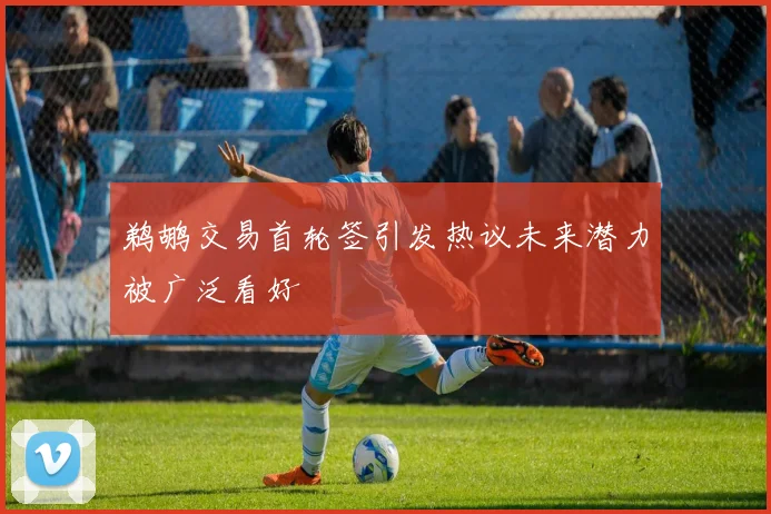 鹈鹕交易首轮签引发热议未来潜力被广泛看好