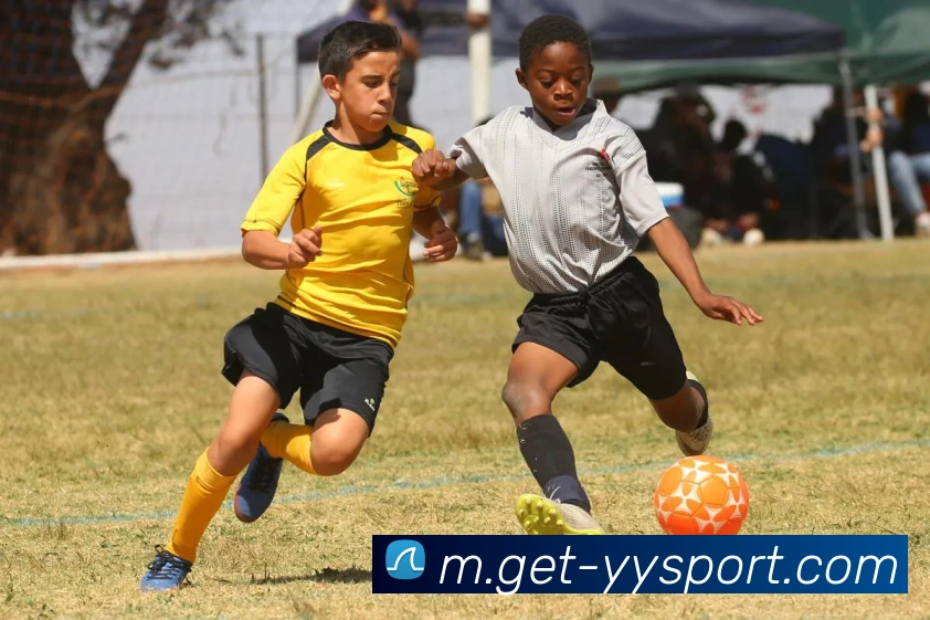 易游体育发展历程